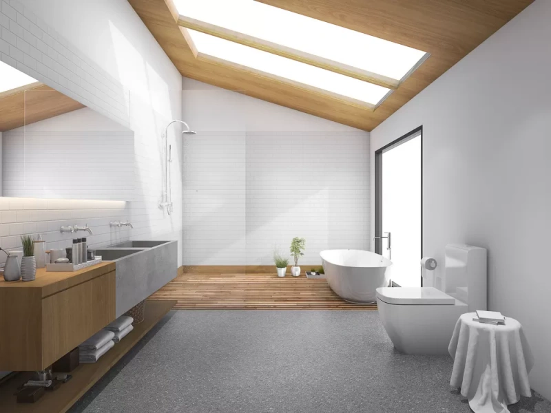 bathroom skylight window